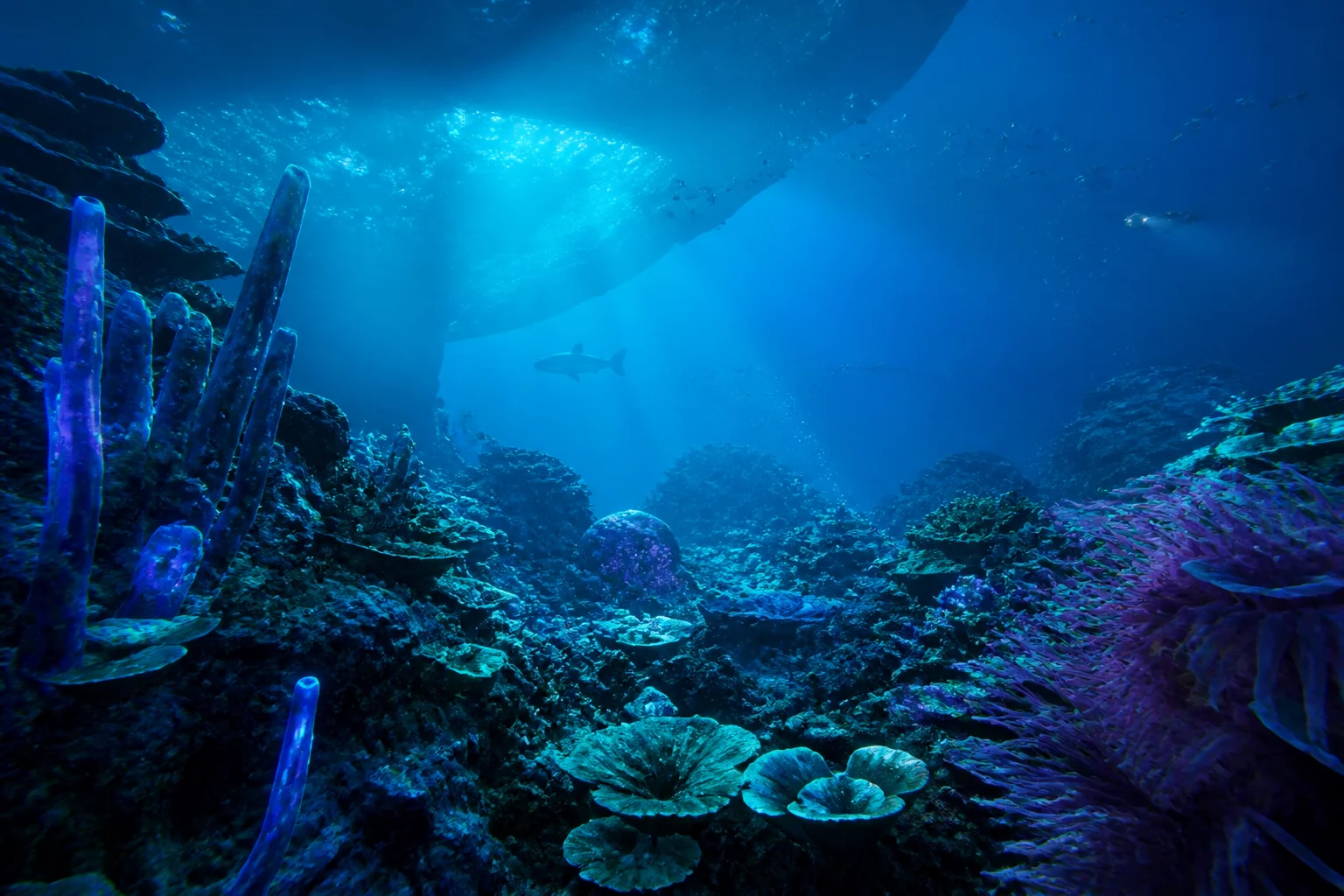 Subnautica 2 Launches